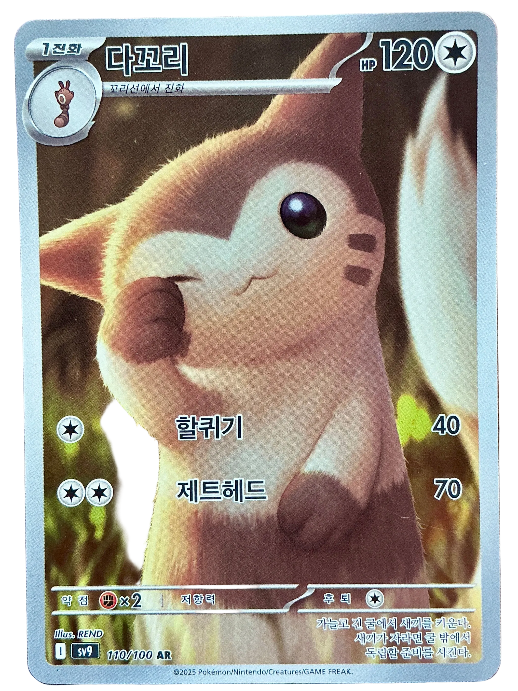 Furret 110/100 - sv9 (Korean)