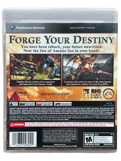 Kingdoms of Amalur Reckoning