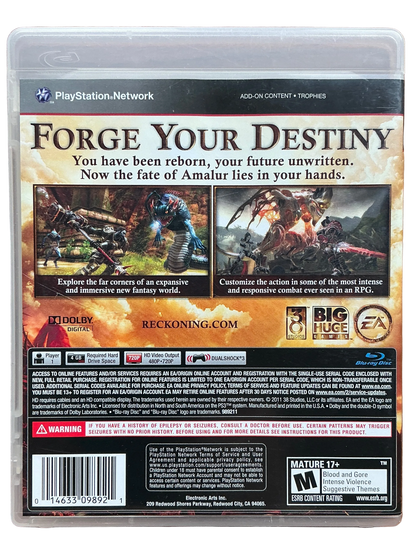 Kingdoms of Amalur Reckoning