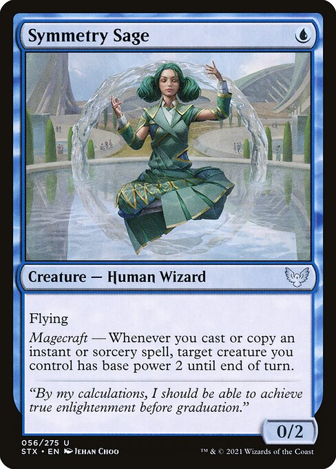 Symmetry Sage (FOIL)