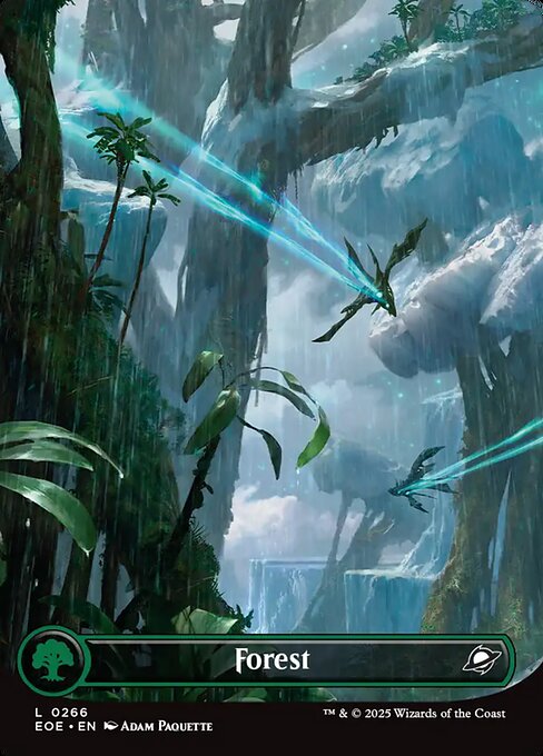 Forest (FOIL)