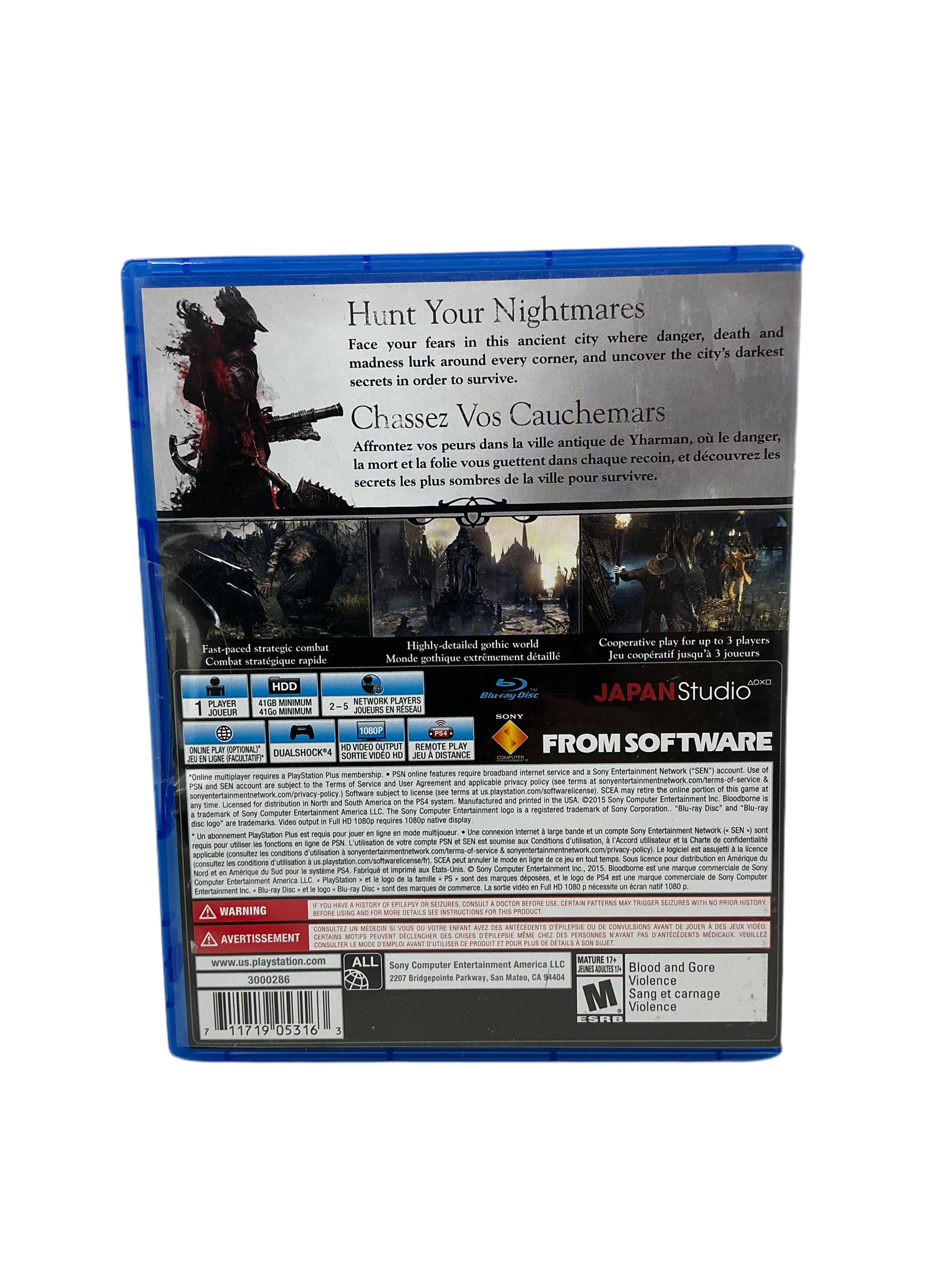 Bloodborne