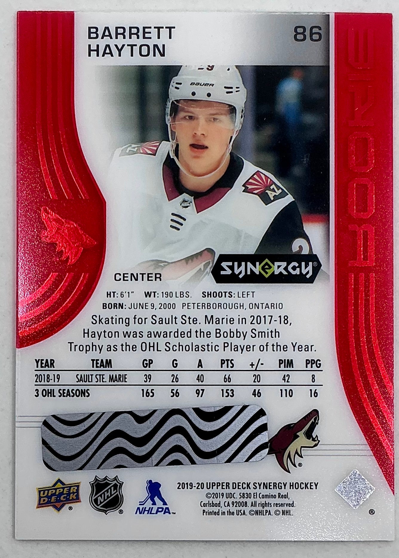 2019-2020 UD Synergy Parallel Rookie Barrett Hayton #86 [Red] Bounty