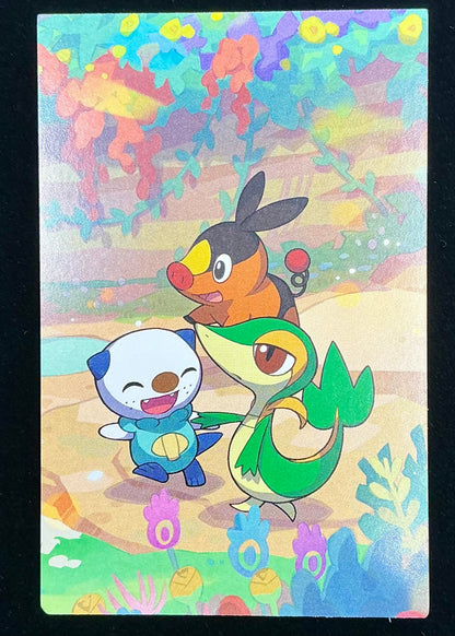 Pokémon Celebrations Collector Unova Mini Tin (EMPTY)