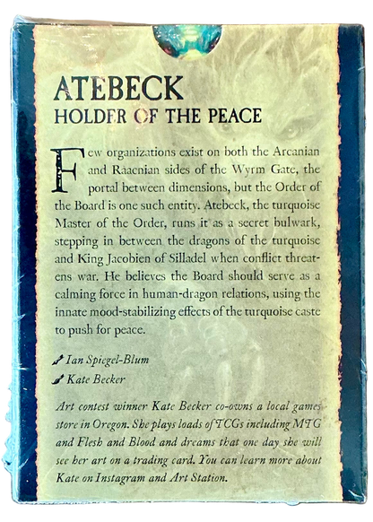 Dragon Shield Matte Card Sleeves (100 Pack)