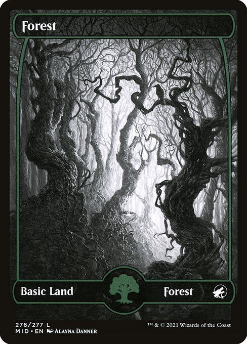 Forest (Showcase)