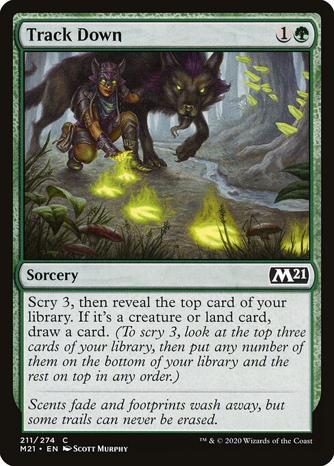 Track Down (FOIL)