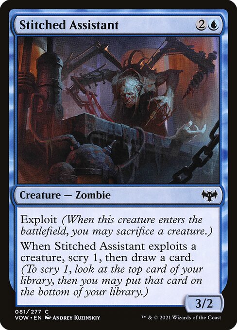 Stitched Assistant (FOIL)